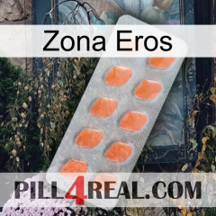 Eros Zone 26